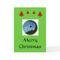 Merry Christmas - Blank Card by linniegirl Merry Christmas - Blank Card
