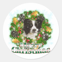 Merry Christmas Border Collie Round Sticker