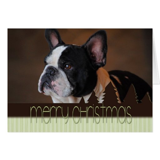 Merry Christmas Boston Terrier Dog Card