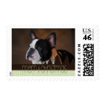 Merry Christmas Boston Terrier Dog Stamps