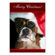 Merry Christmas Boxer Dog greeting Card
