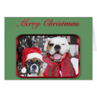 merry christmas boxers greeting card