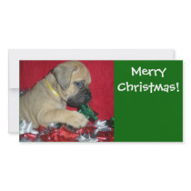 Merry Christmas - Bullmastiff puppy Photo Greeting Card