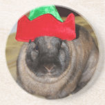 Merry Christmas Bunny With Holiday Rabbit Hat Coat coasters
