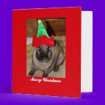 Merry Christmas Bunny With Holiday Rabbit Hat Gift binders