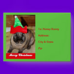 Merry Christmas Bunny With Holiday Rabbit Hat Gift envelopes