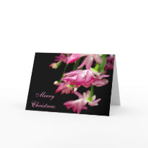 Merry Christmas Cactus Greeting Card