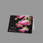Merry Christmas Cactus cards