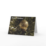 Merry Christmas - Card