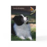 Merry Christmas Greeting Cards