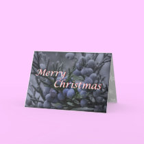 Merry Christmas Card