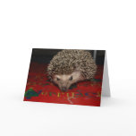 Merry Christmas! Greeting Card