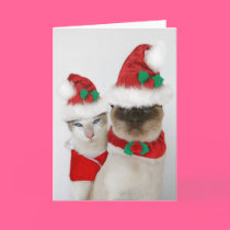Merry Christmas! cards
