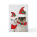 Merry Christmas! cards