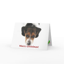 Merry Christmas! Greeting Cards