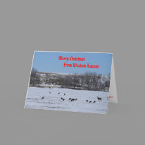 Merry Christmas ... cards by wksimages Merry Christmas ... cards