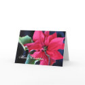 Merry Christmas cards by angelspiritme Merry Christmas cards