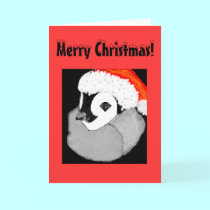 Merry Christmas! cards