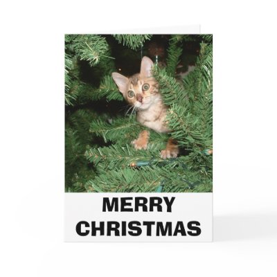  MERRY CHRISTMAS CARD by Melissue76