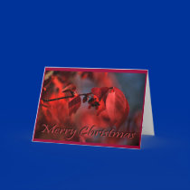 Merry Christmas cards