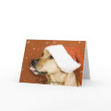 Merry Christmas cards by InkStudios Merry Christmas cards