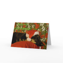 Merry Christmas Card