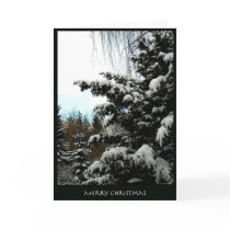 Merry Christmas cards by photomorgana Merry Christmas cards