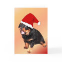 Merry Christmas Greeting Cards