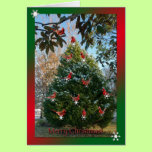 Merry Christmas Cardinals cards