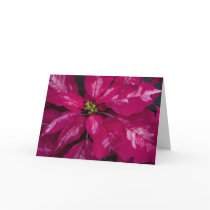 Merry Christmas Cards