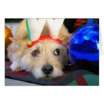 Merry Christmas cards