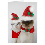 Merry Christmas! Cards