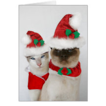 Merry Christmas! Cards