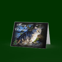 Merry Christmas - Cat greeting card by mmersdesign Merry Christmas - Cat greeting card
