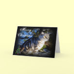 Merry Christmas - Cat greeting card