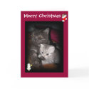 Merry Christmas - Cat greeting card