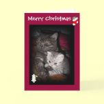 Merry Christmas - Cat greeting card