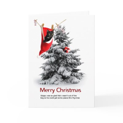 Merry Christmas Cat & Guinea Pig greeting card