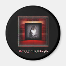 Merry Christmas Cat Magnet