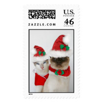 Merry Christmas Cats! postage by knichols1109 Merry Christmas Cats! postage