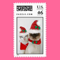 Merry Christmas Cats! postage