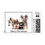 Merry Christmas Chihuahua Postage