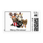 Merry Christmas Chihuahua Postage