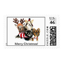Merry Christmas Chihuahua Postage