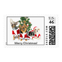 Merry Christmas Chihuahua Postage