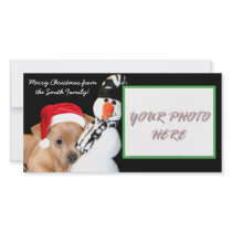 Merry Christmas Chihuahua Puppy Photocard by ritmoboxer Merry Christmas Chihuahua Puppy Photocard