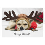Merry Christmas Chihuahua Reindeer Card