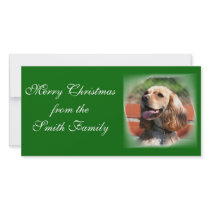 Merry Christmas Cocker Spaniel Photocard by ritmoboxer Merry Christmas Cocker Spaniel Photocard