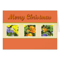 Merry Christmas colorful pansies Greeting Card