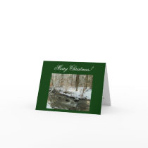 Merry Christmas!-Create Your Own Greeting Cards! cards